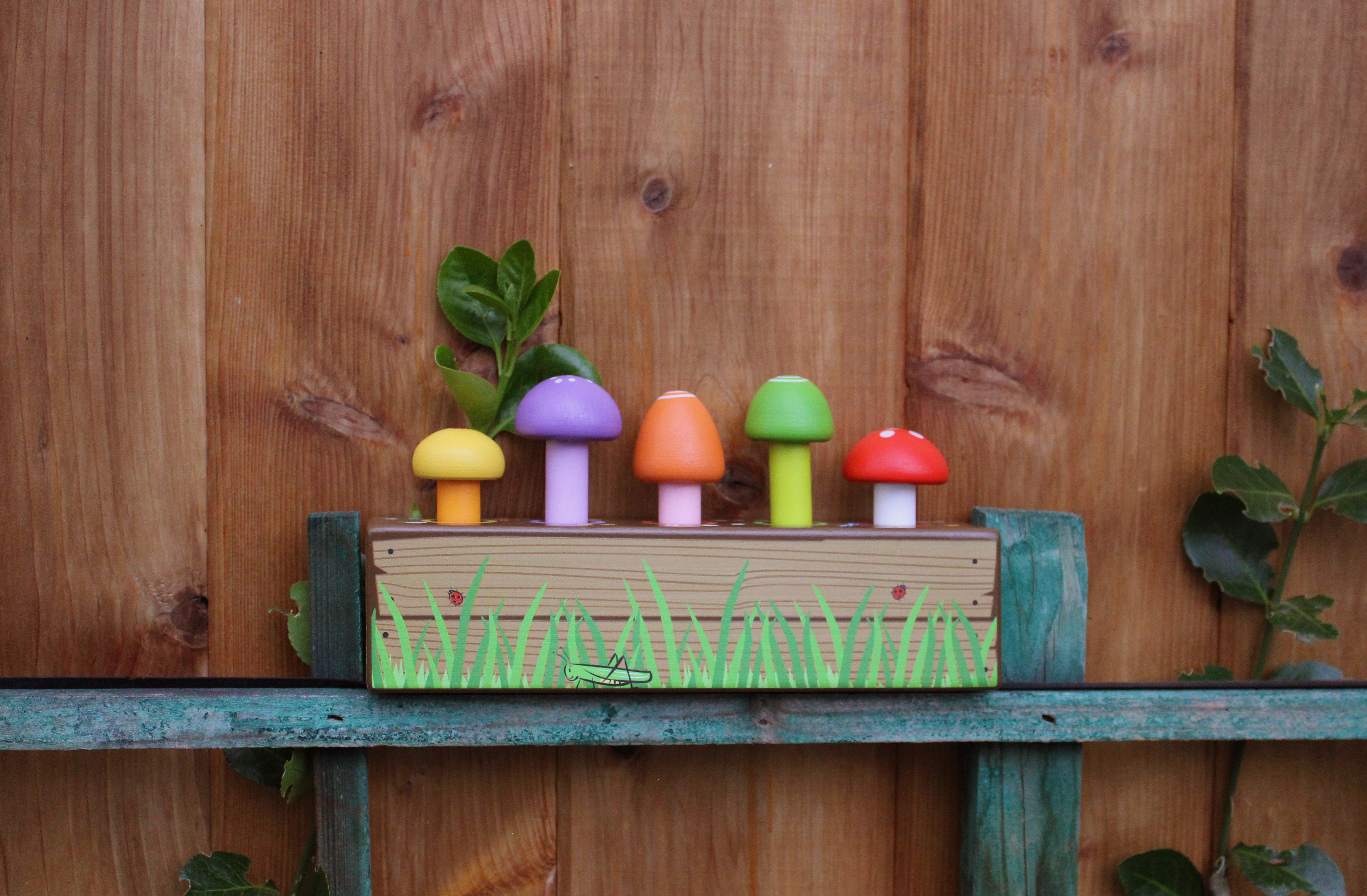 Mushroom Pop & Play