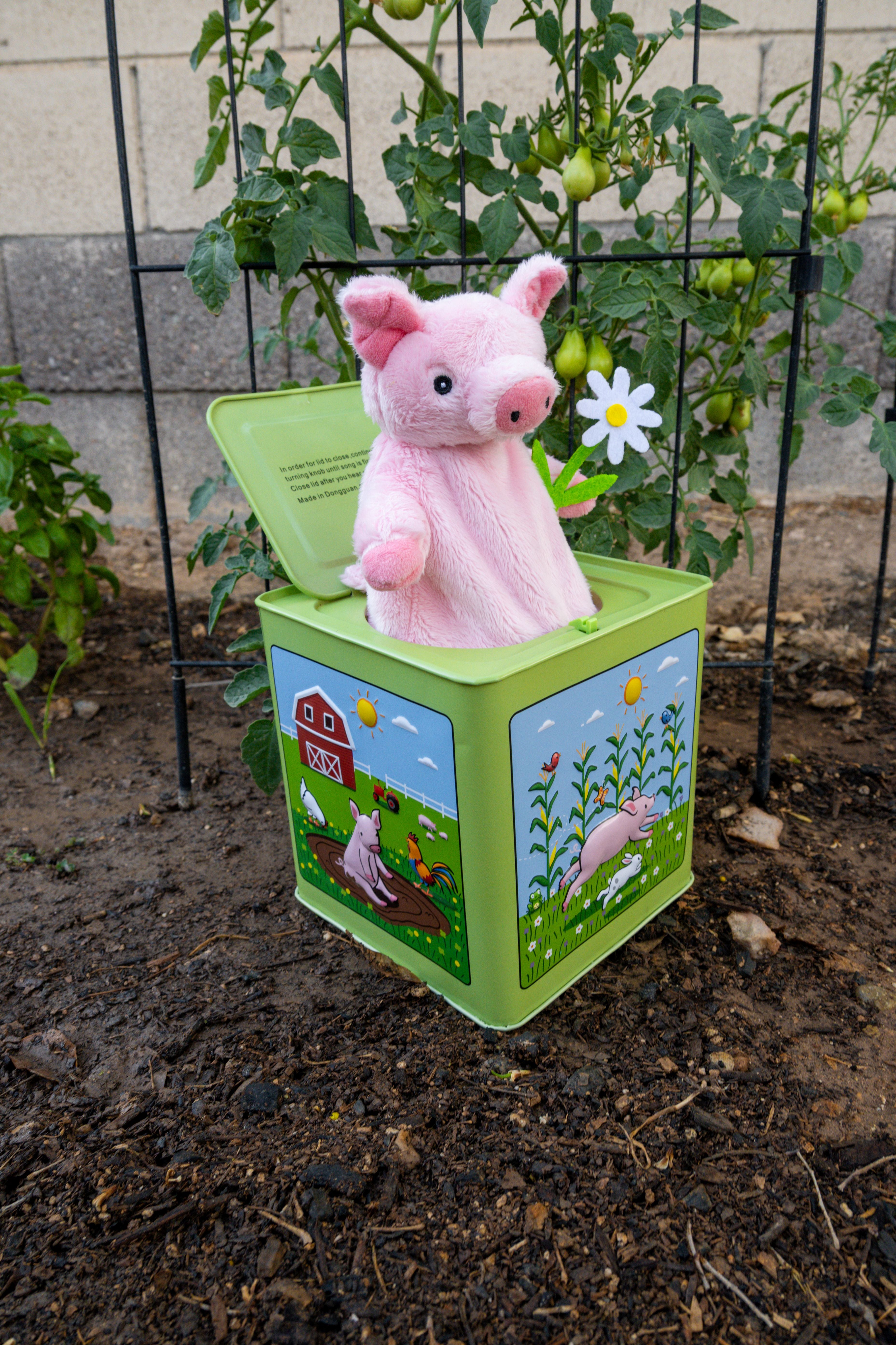 Poppy the Pig Jack-in-the-Box