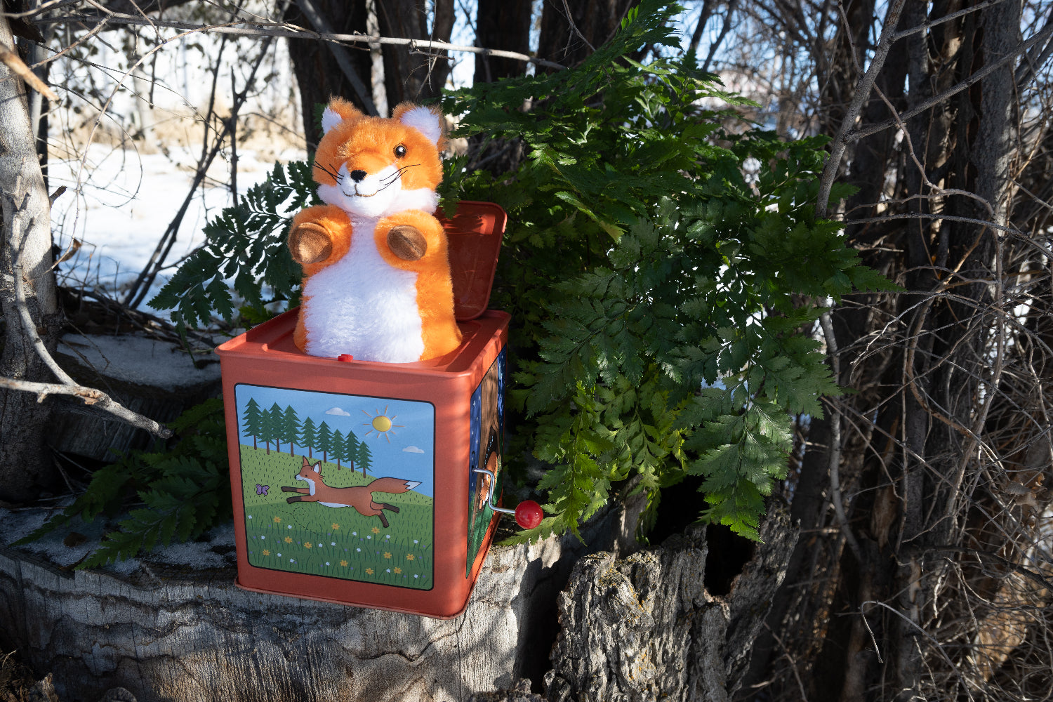 Fox Jack-in-the-box