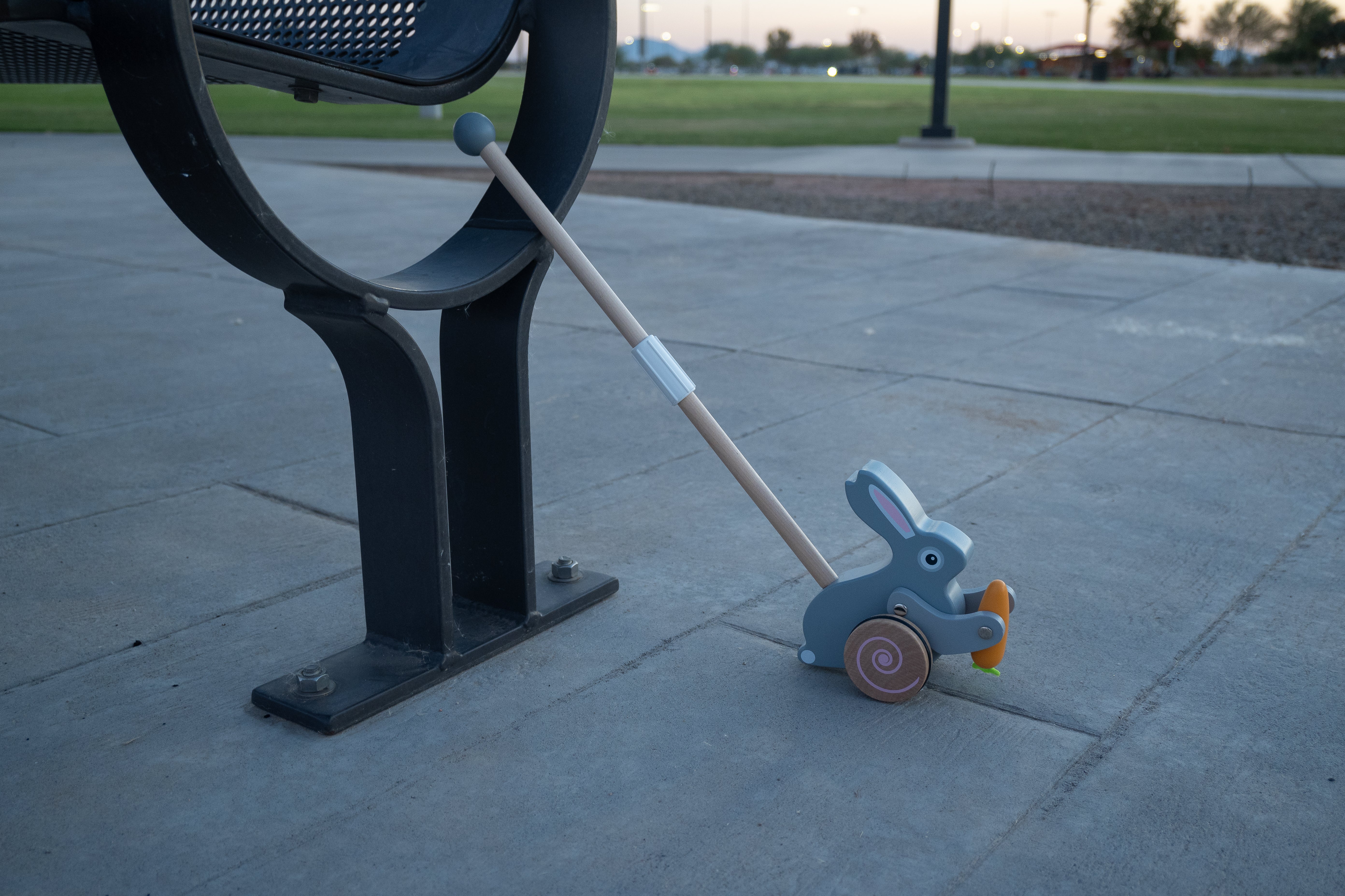 Bunny Push Toy