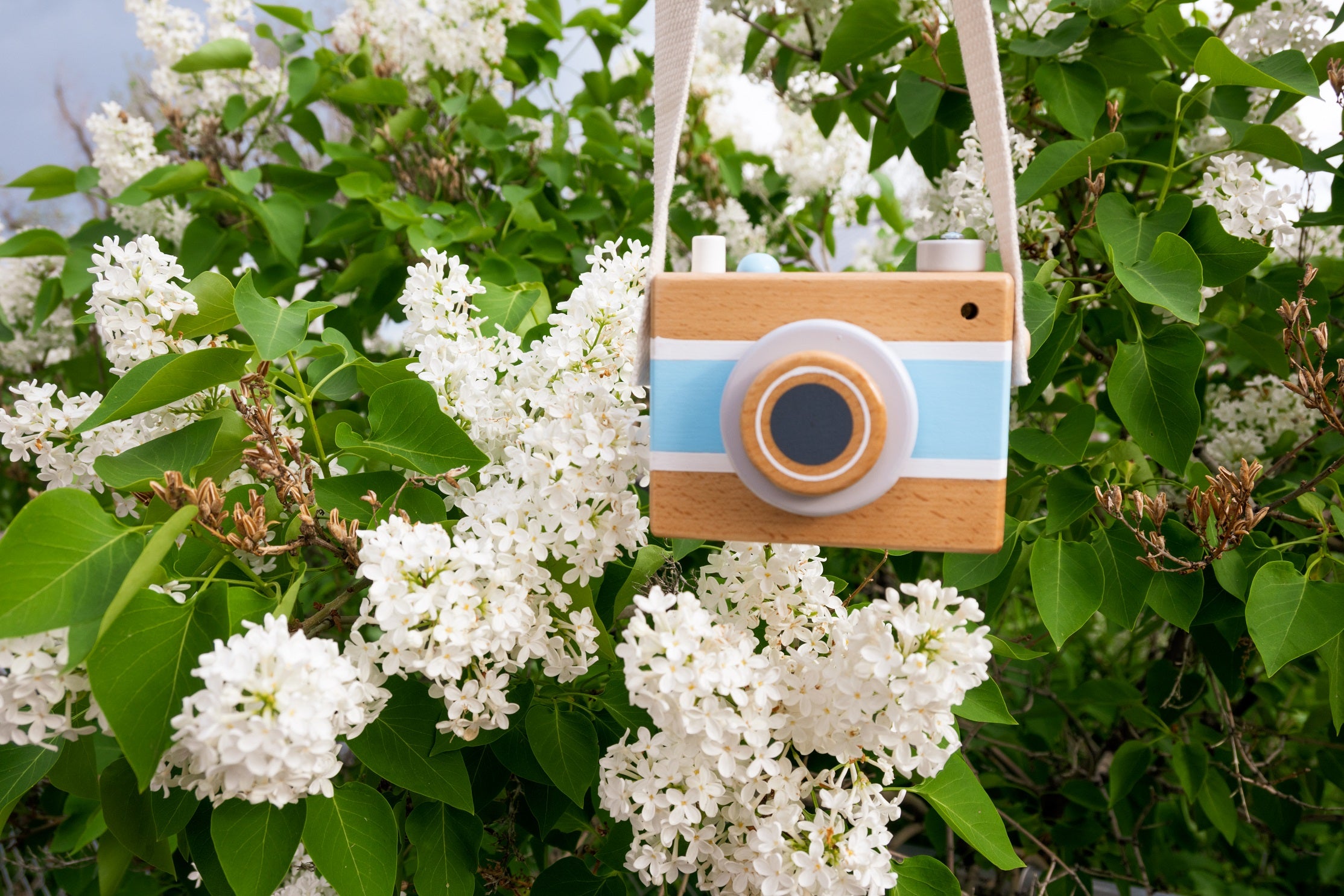 Blue Vintage Camera Music Box