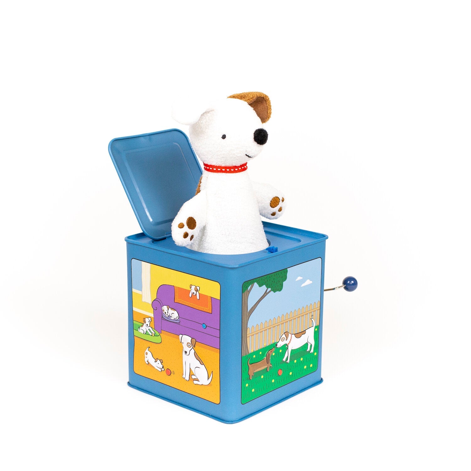 Dog Jack-in-the-Box