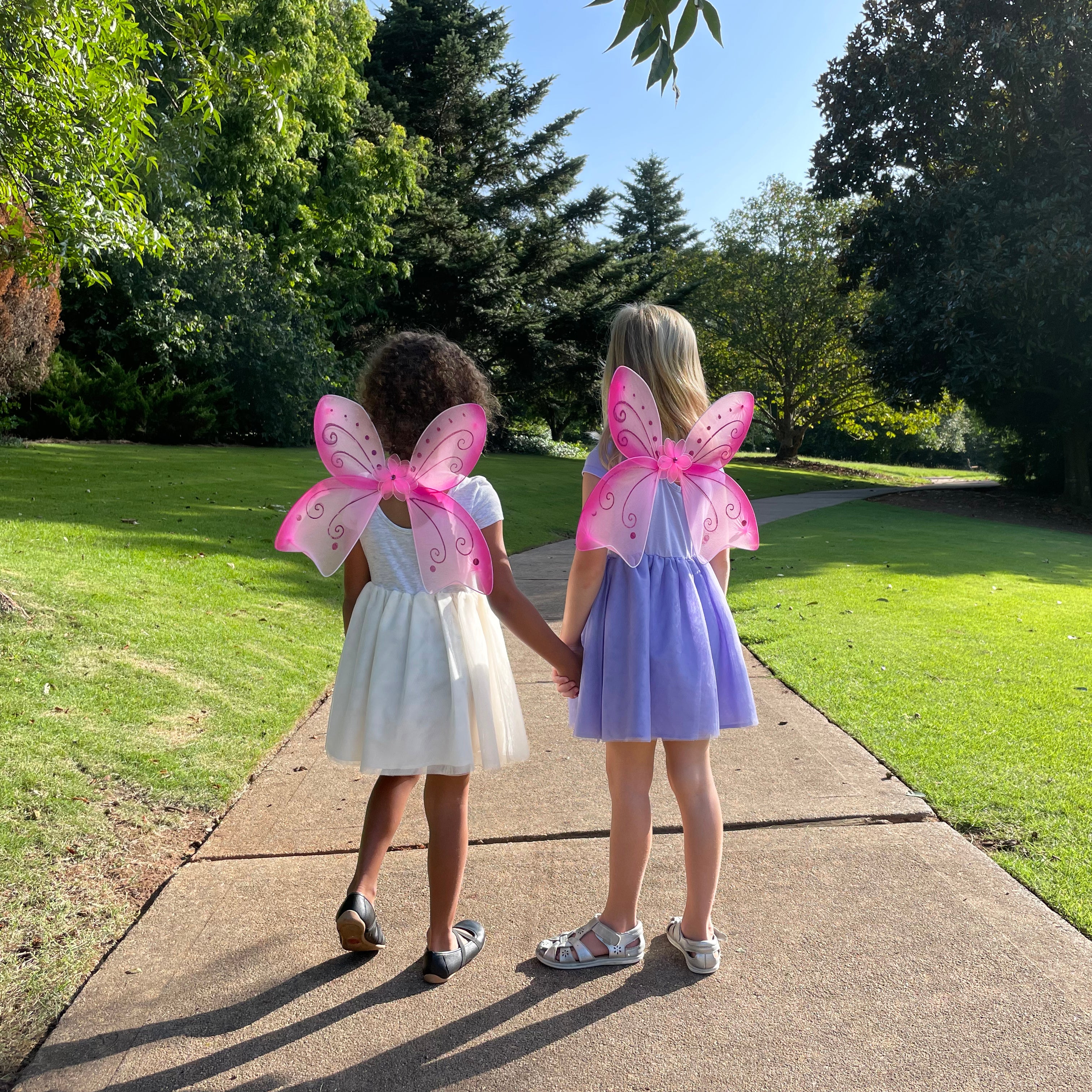 Magical Mini Fairy Wings - Set of 2