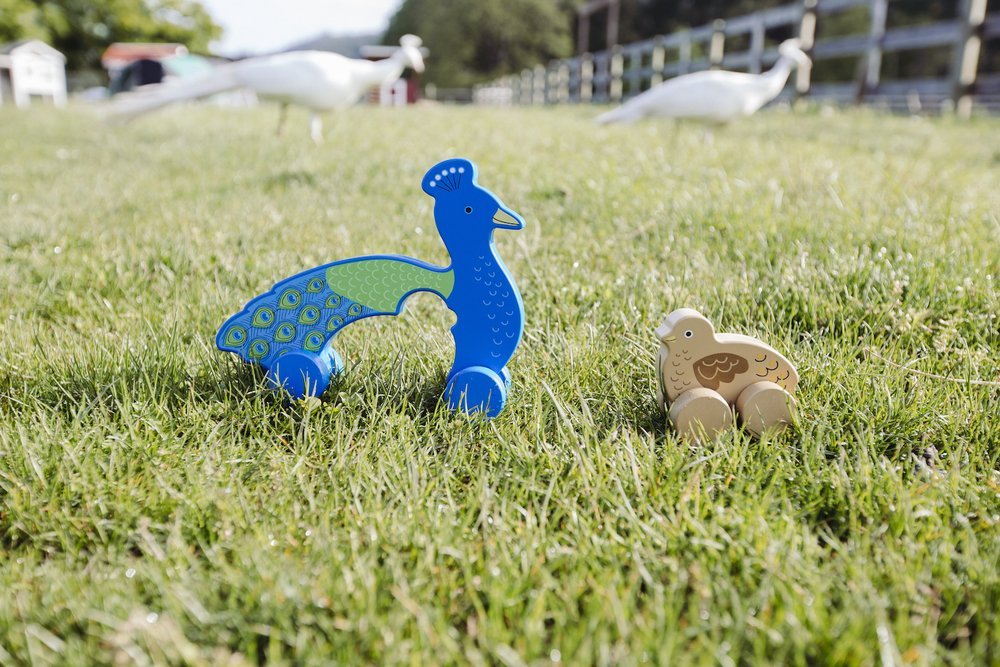 Big & Little Peacock - Push Toy