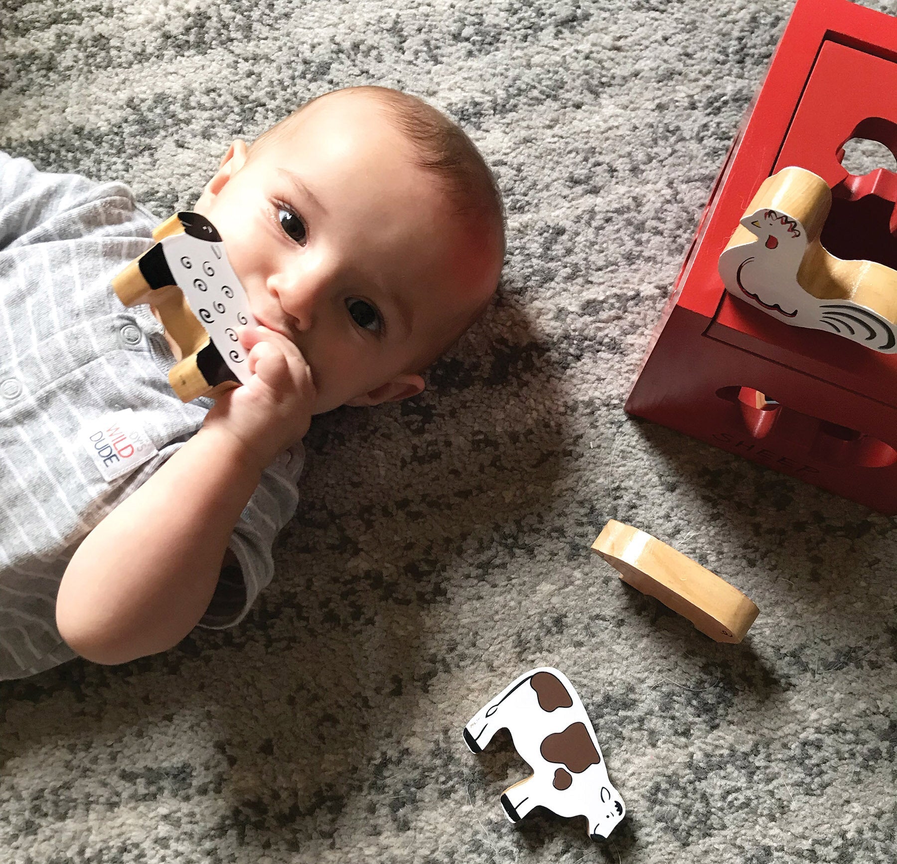 Barnyard Sort & Play