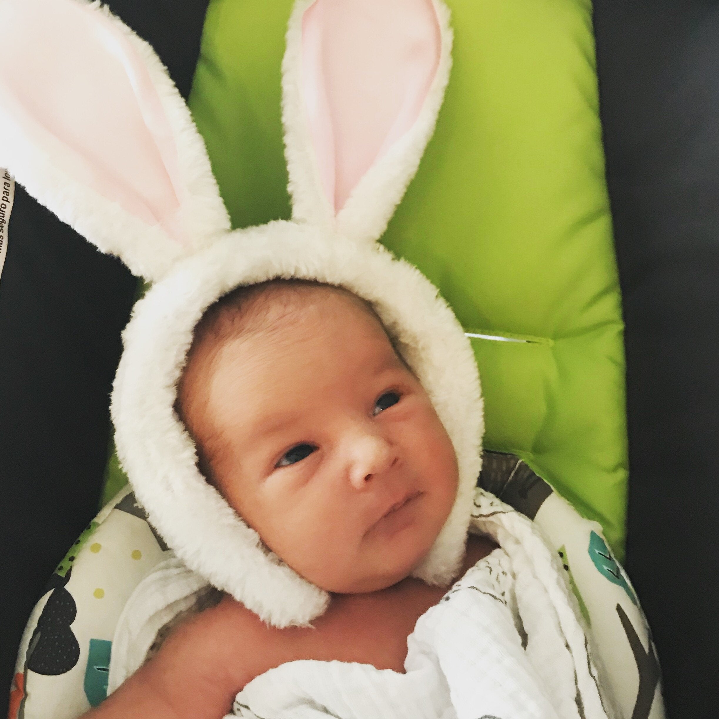 Bendy Bunny Ears - Set of 2