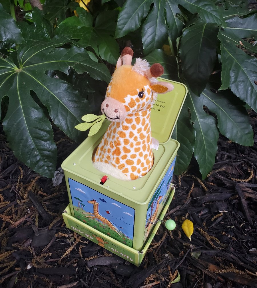 Giraffe - Jack-in-the-Box
