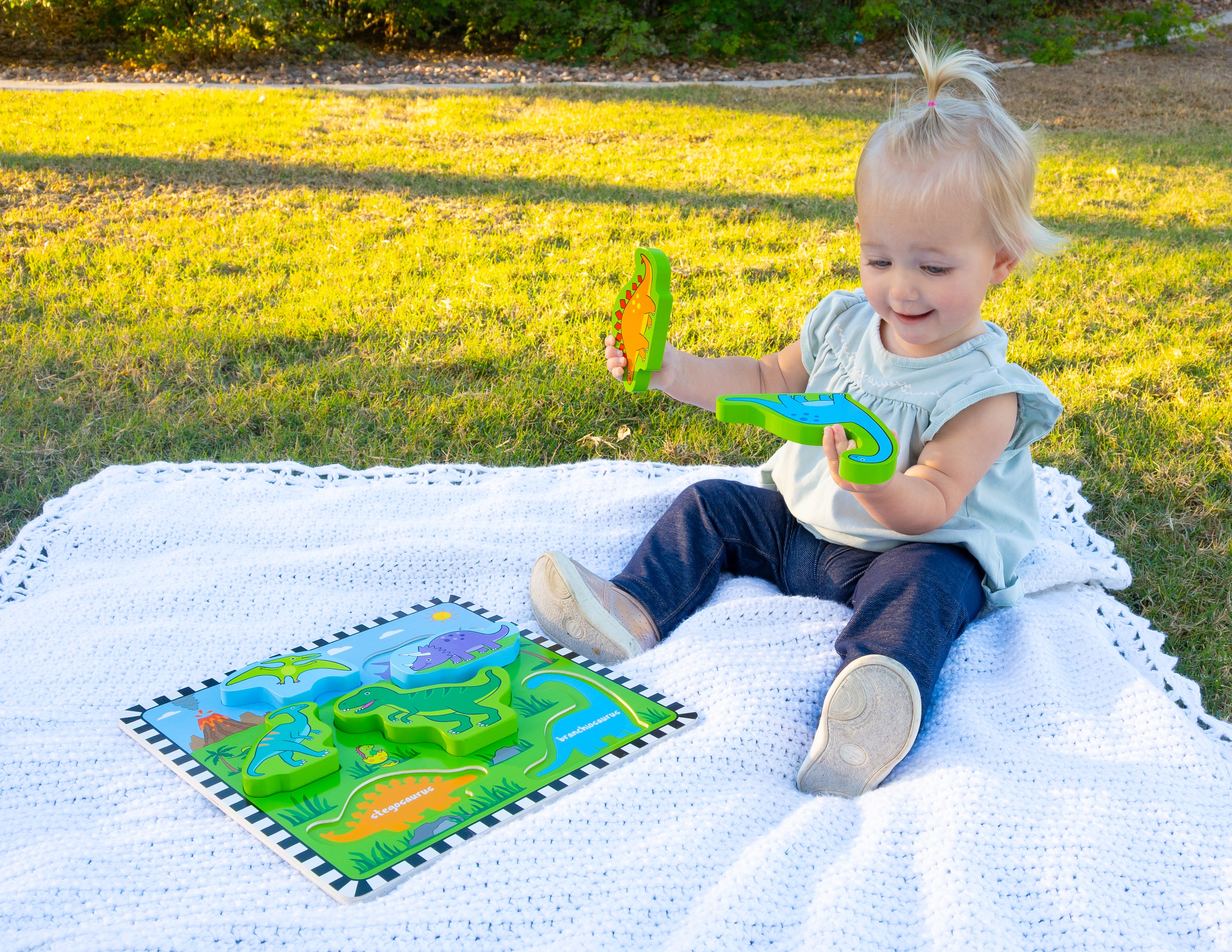 Dinosaur Board Puzzle