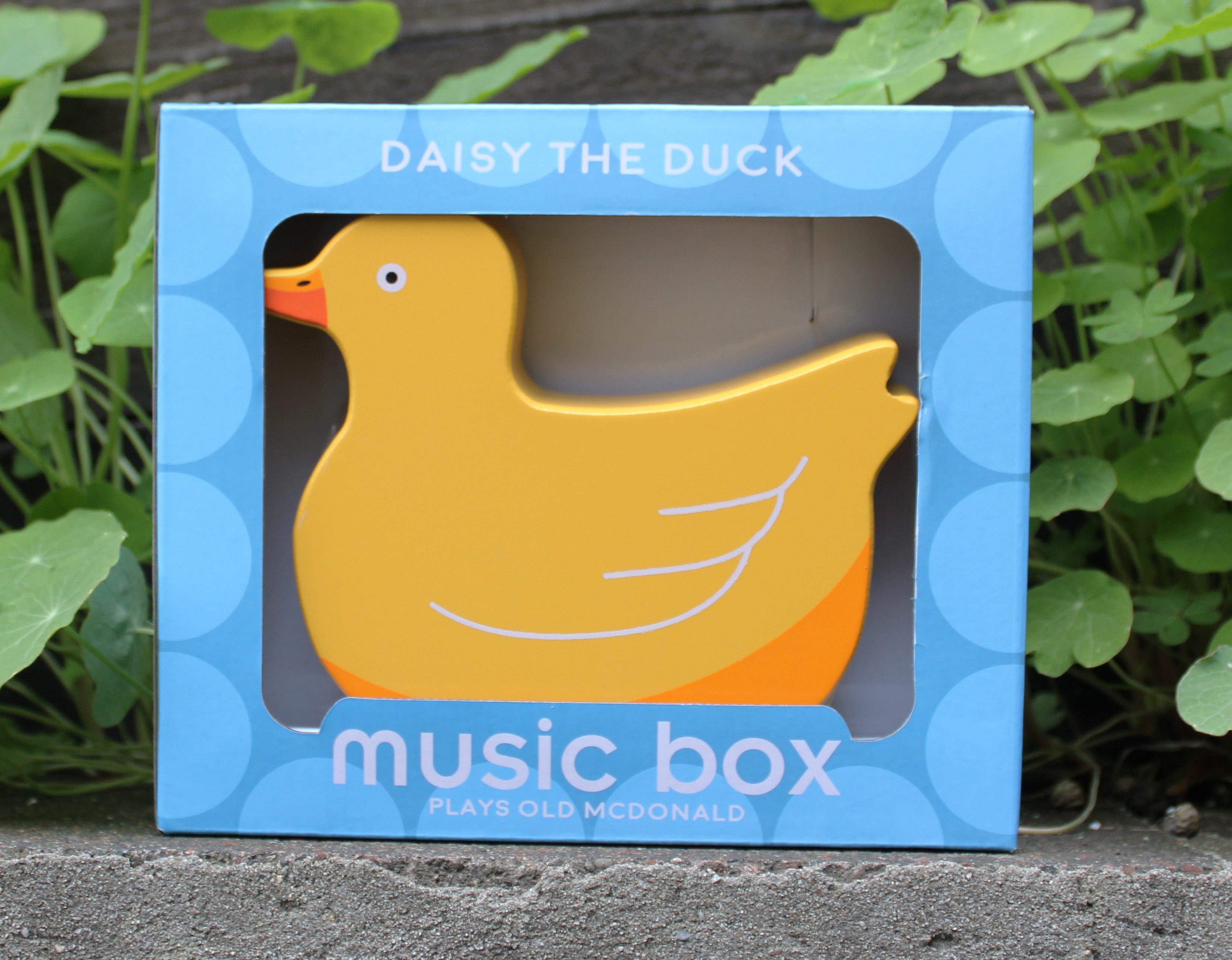 Duck Music Box