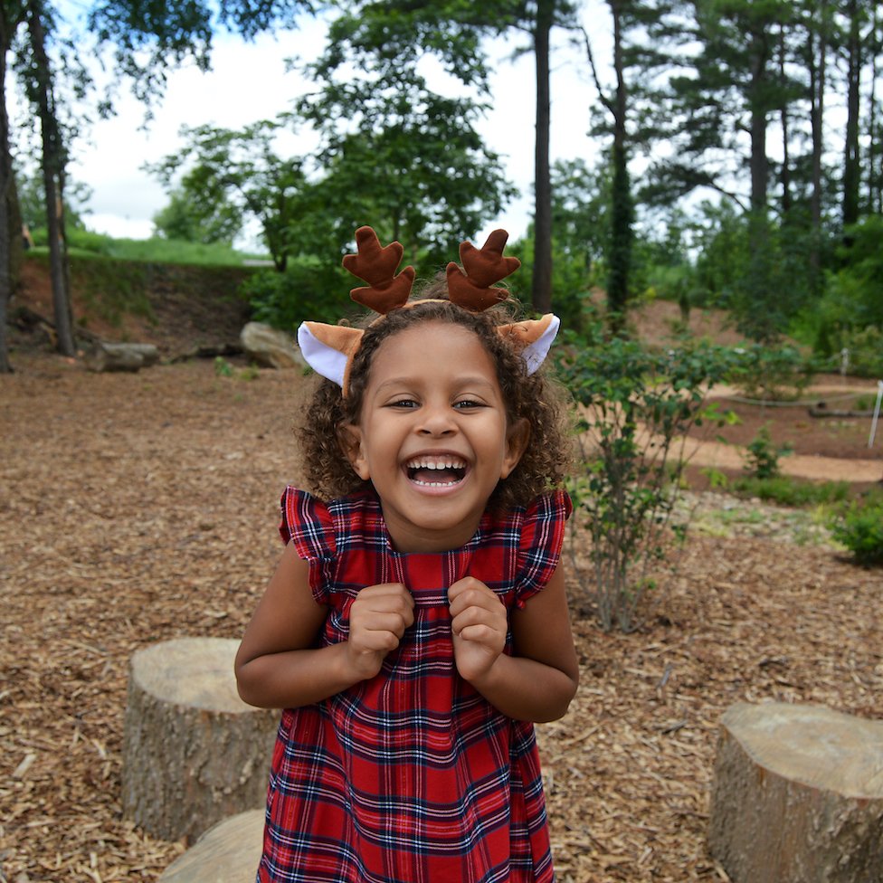 Deer Ears - Set of 2