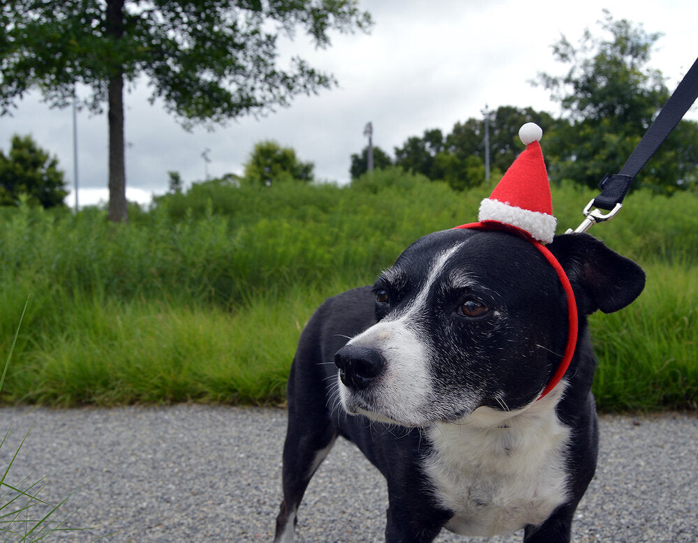 Santa Hat Headbands - Set of 2