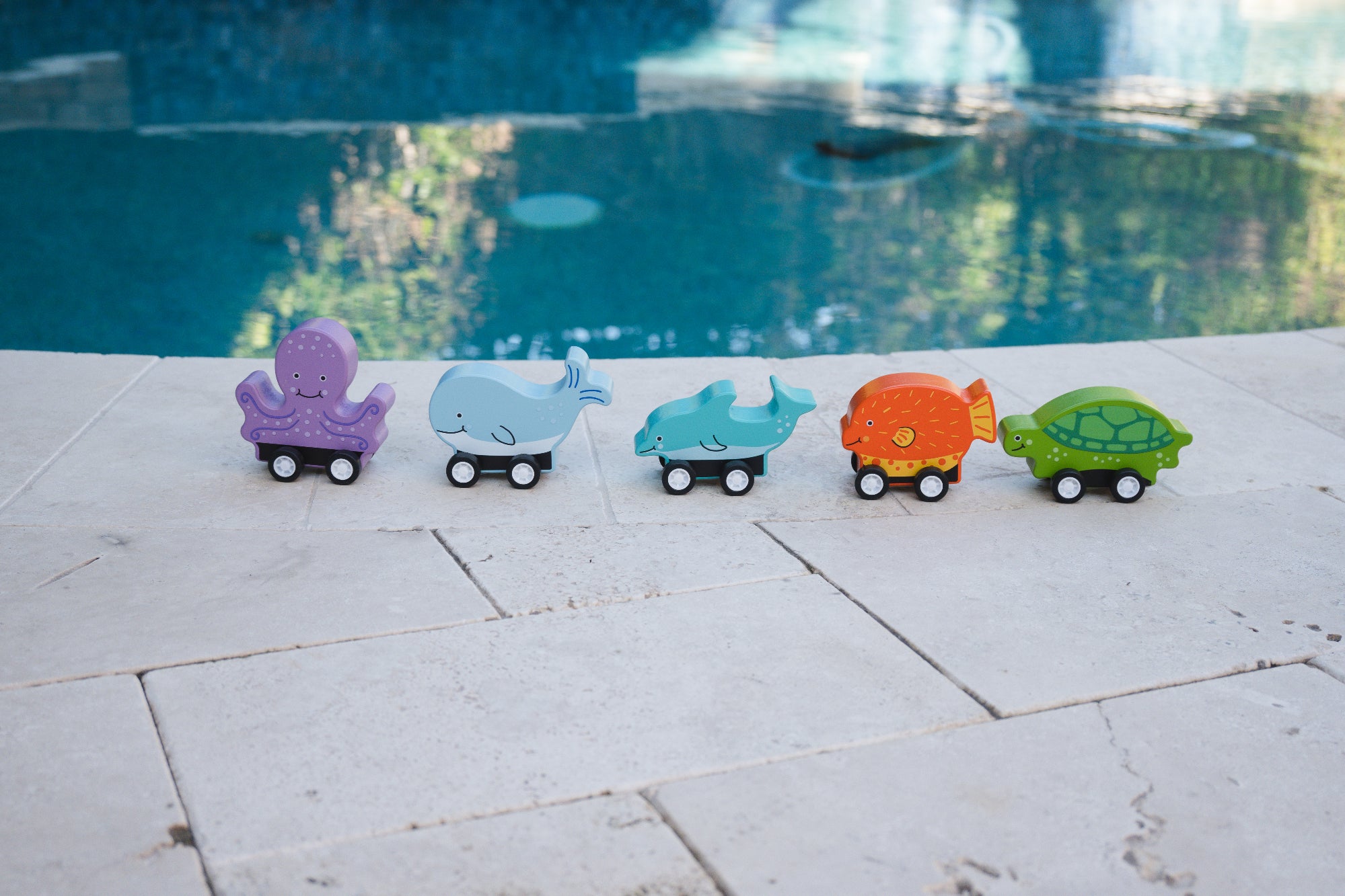 Pull-Back Ocean Creatures set of 5